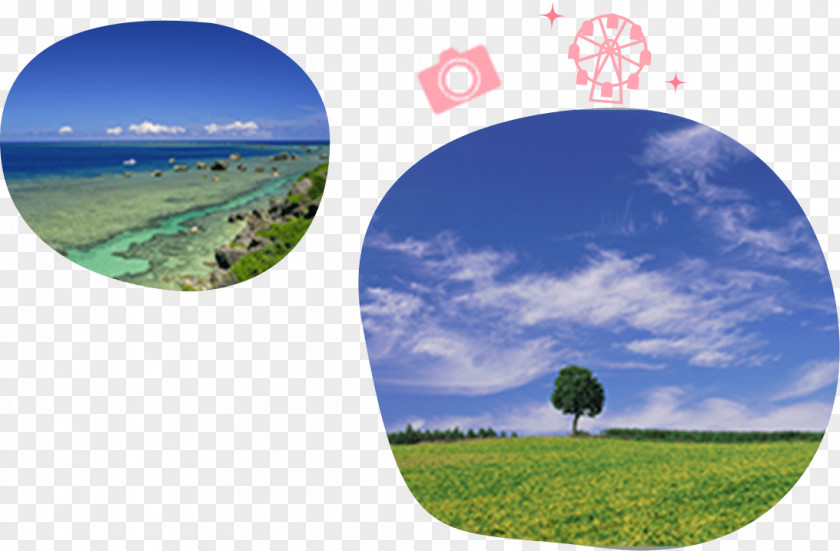 Travel Package Tour Golden Week Nippon Agency Accommodation PNG