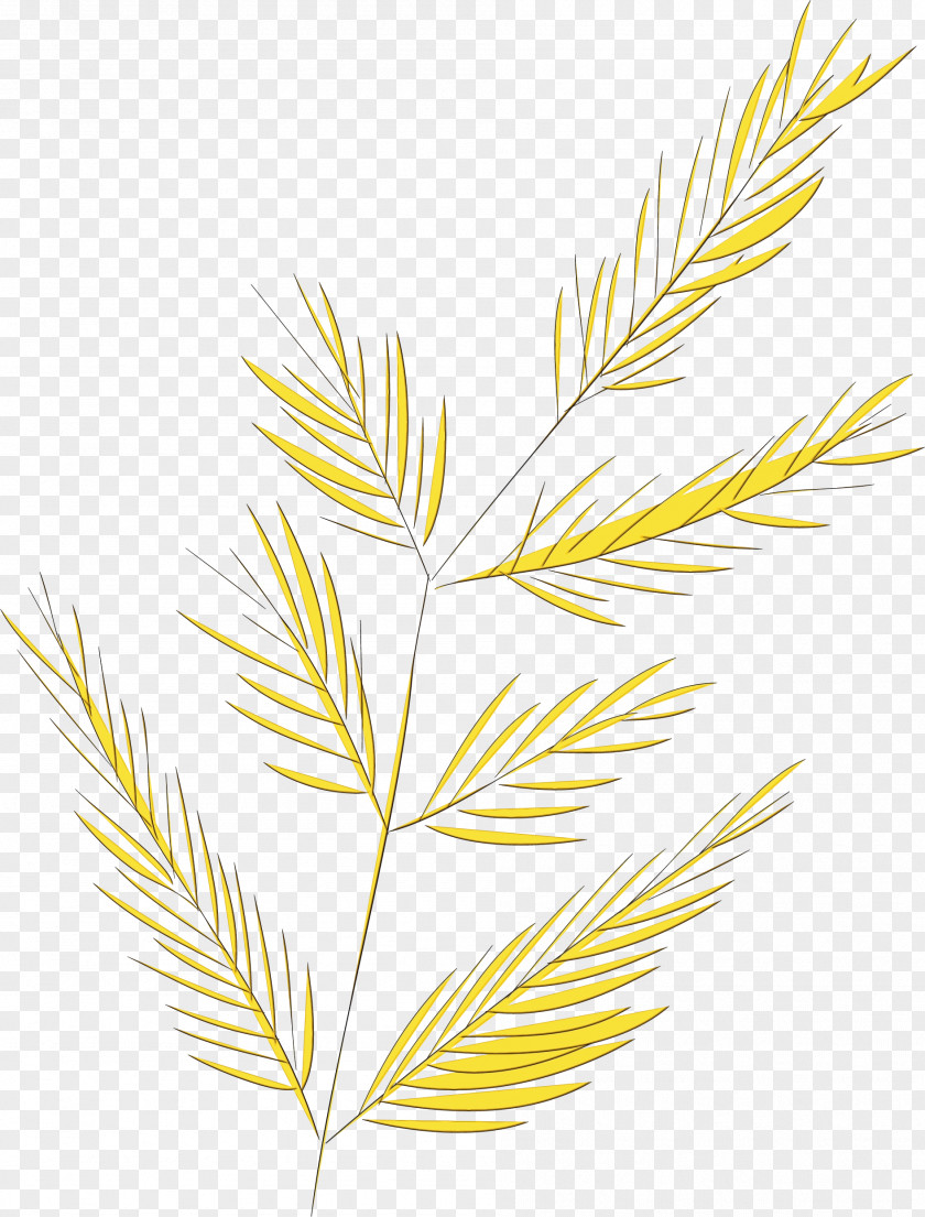 Twig Plant Stem Leaf Line Art Grasses PNG