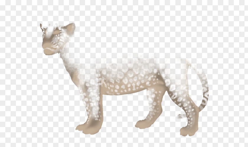 Cat Big Lion Felidae Cheetah PNG