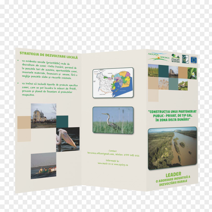 Design Brochure PNG