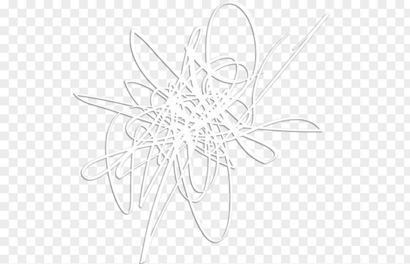 Design Line Art White Sketch PNG