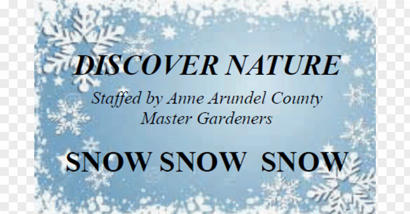 Water Tree Brand Snowflake Font PNG