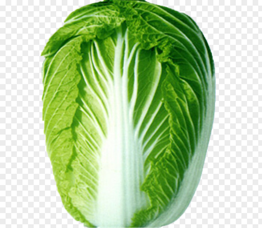 A Cabbage Napa Choy Sum Chinese Vegetable PNG
