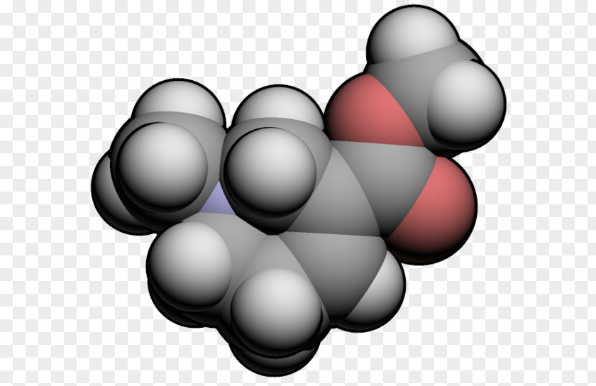 Arecoline Alkaloid Chemistry Arecaidine Areca Nut PNG