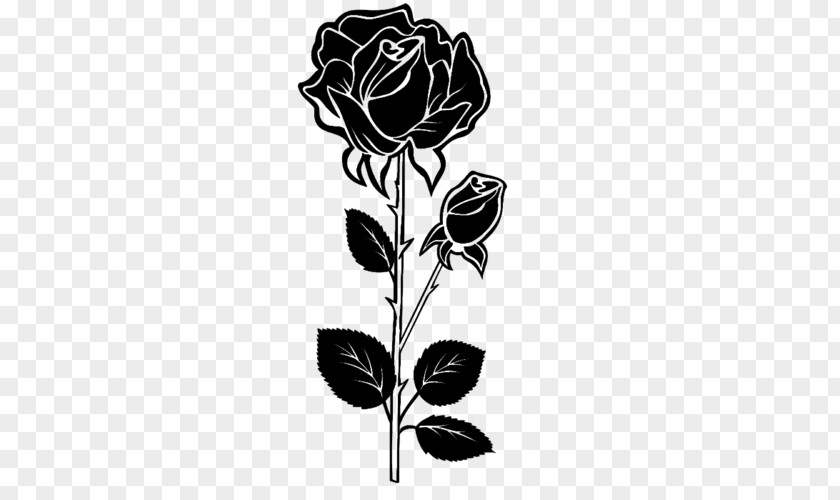 Blue Rose Cut Flowers Black Drawing PNG