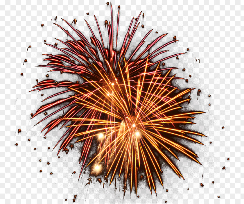Fireworks Pic PNG