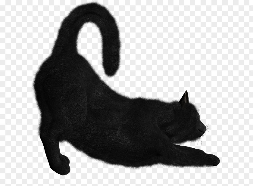 Kitten Bombay Cat Clip Art Desktop Wallpaper PNG
