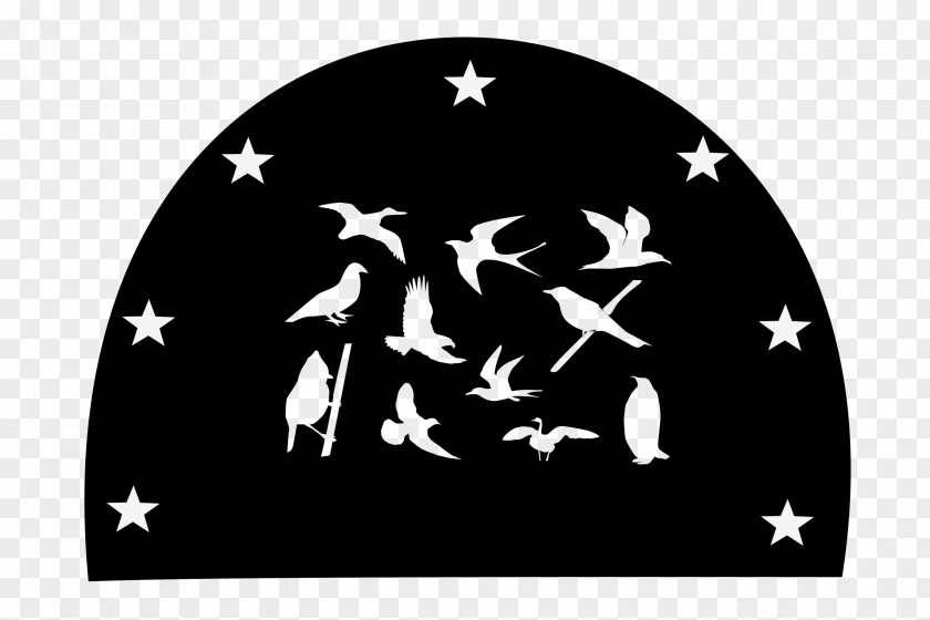 Silhouette Birds United States Air Force Military Armed Forces PNG