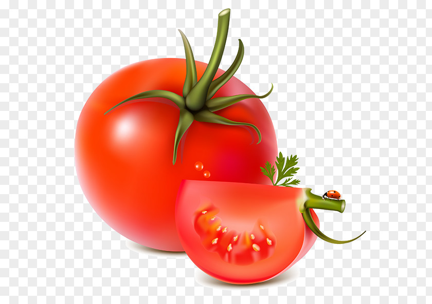 Vegetable Tomato PNG