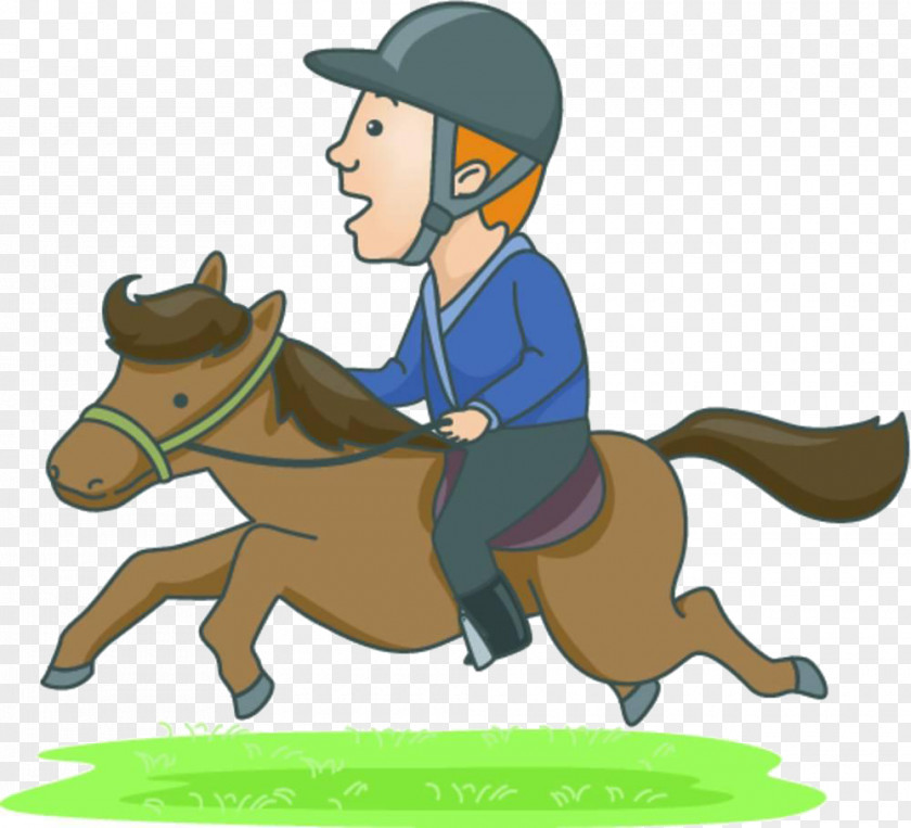 Cartoon Man Riding Material Horse Equestrian Illustration PNG