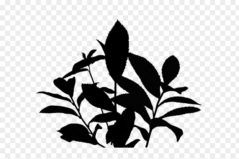 Clip Art Leaf Plant Stem Flower Silhouette PNG