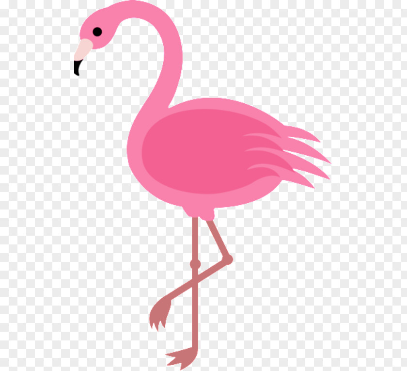 Flamingo Cartoon Drawing Clip Art PNG