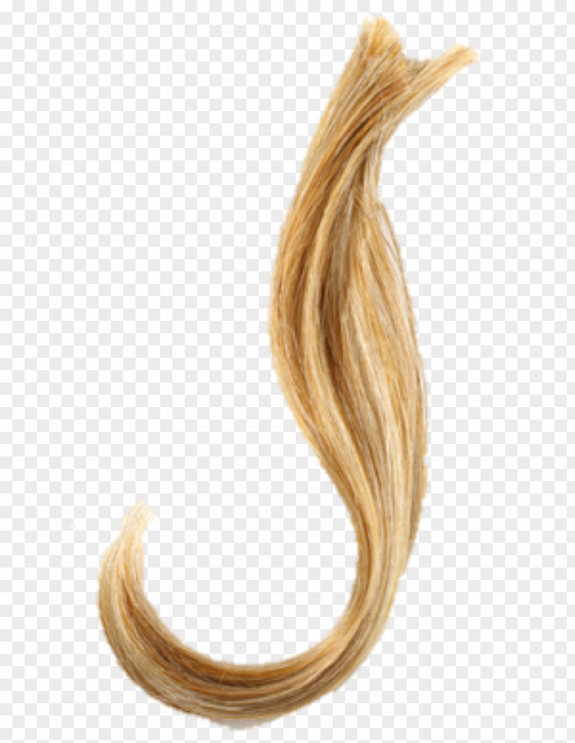 Hair Lock Of Blond Dreadlocks Hairstyle PNG