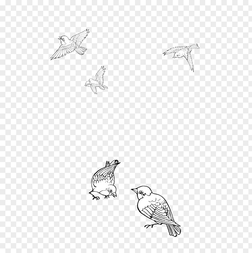 Hand Drawn Sparrow Bird Cartoon Black And White PNG