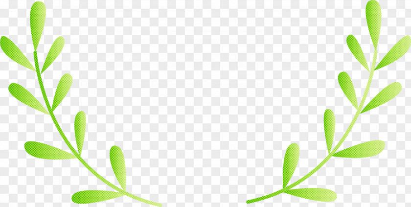 Leaf Green Plant Flower Branch PNG