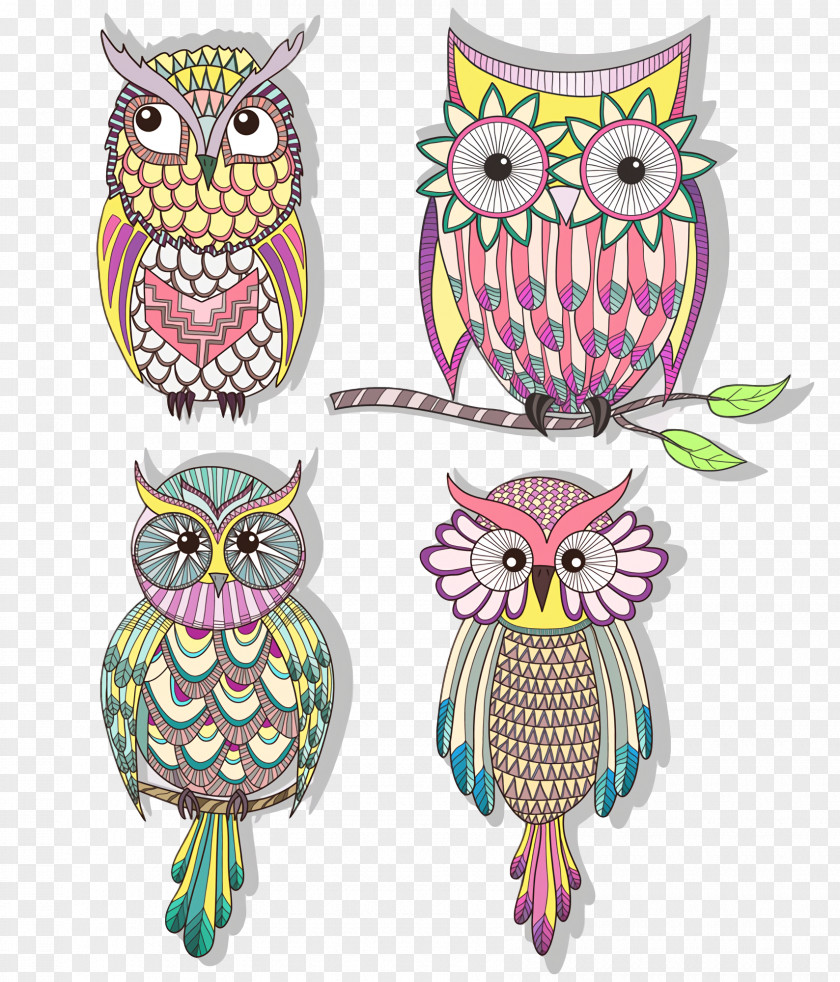 Owl Bird Of Prey PNG