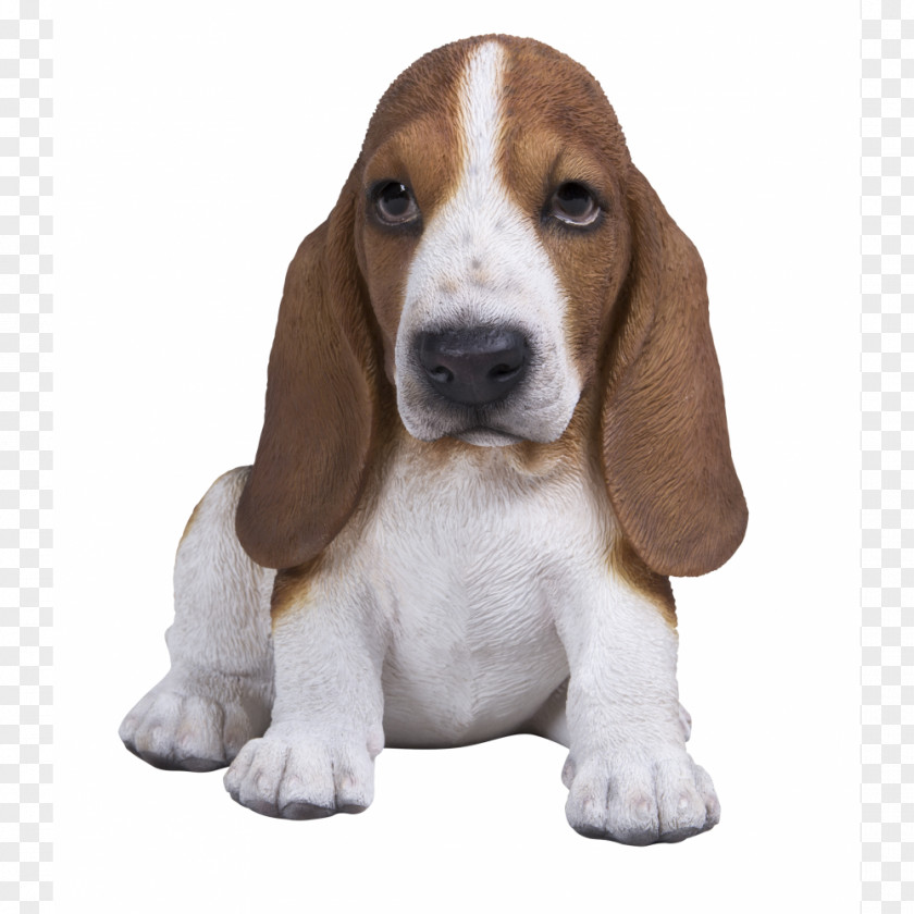 Puppy Basset Artésien Normand Hound Finnish Beagle PNG