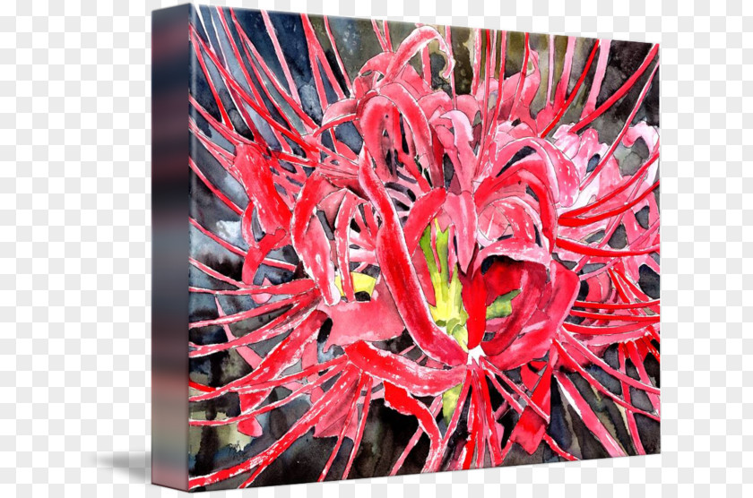Red Spider Lily Petal Watercolor Painting Canvas PNG