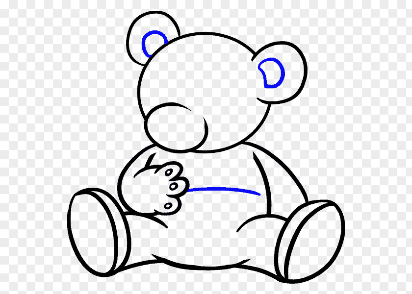 Bear Polar Giant Panda Drawing Cartoon PNG