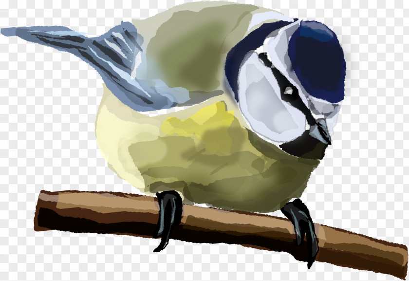 Blue Bird House Sparrow Thrush Eurasian Tit PNG