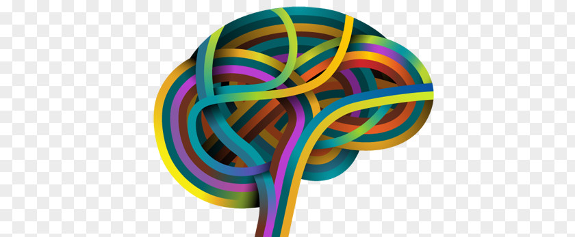 Critical Thinking Logo Human Brain Vector Graphics Mind Default Mode Network PNG
