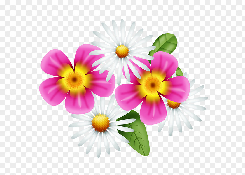 Flower Garden Common Daisy Pansy Clip Art PNG