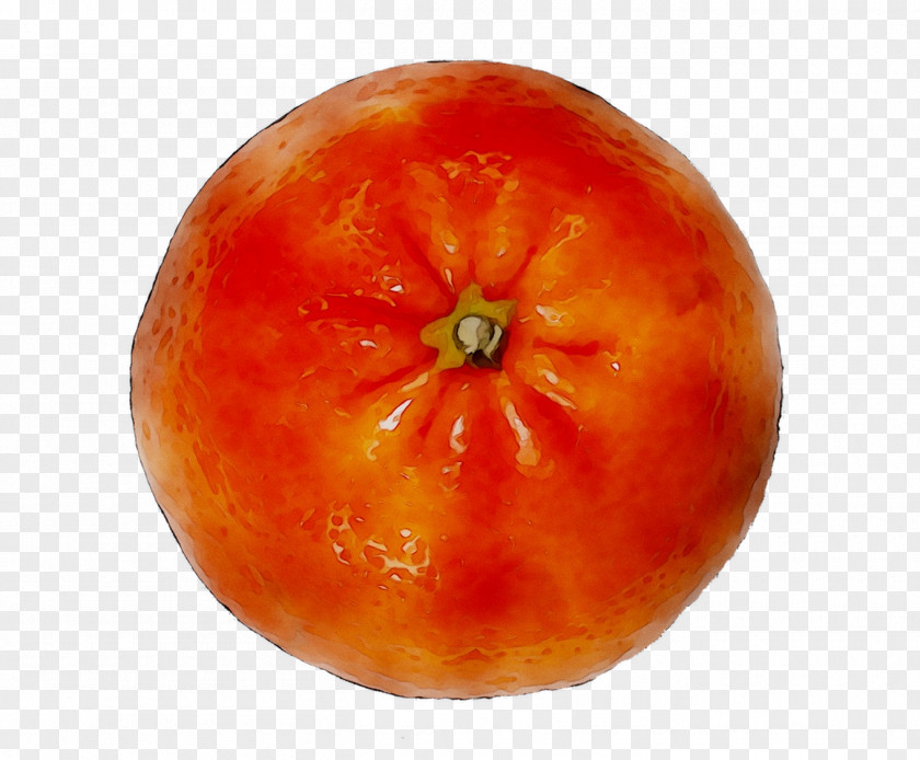 Plum Tomato Vegetarian Cuisine Food Winter Squash PNG