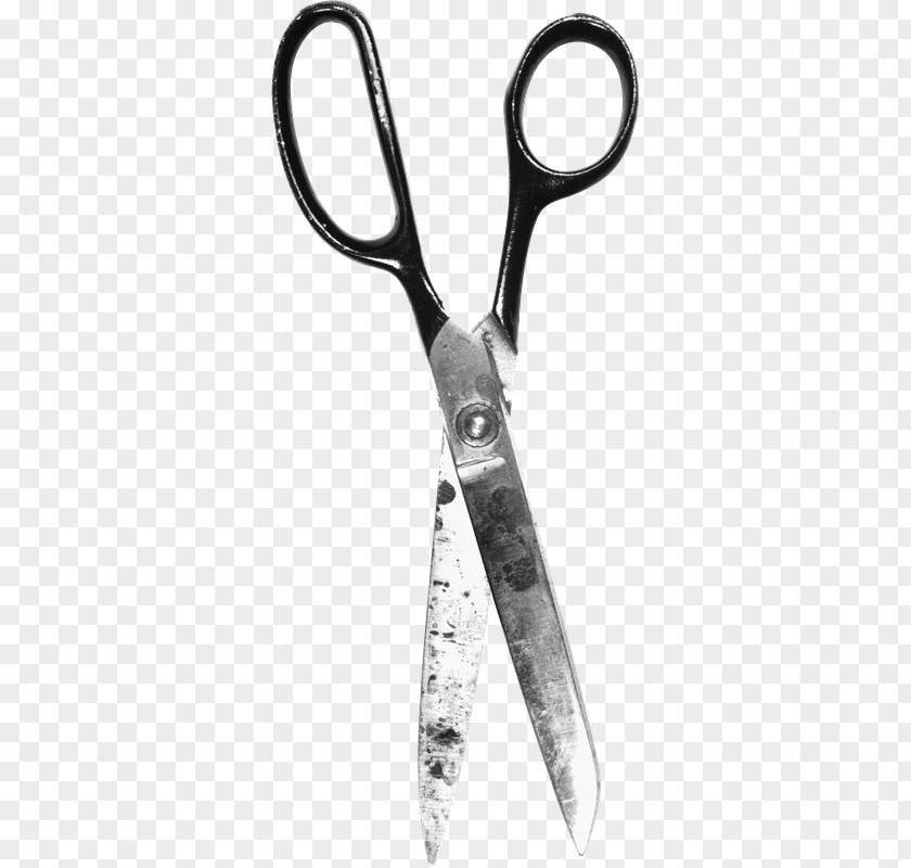 Scissors Hair-cutting Shears Clip Art Image PNG