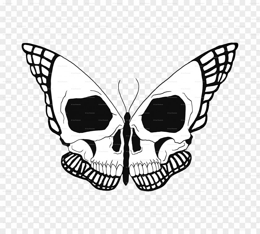 Butterfly Drawing Skull Image Design PNG