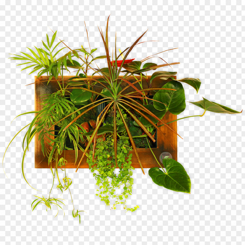 Houseplant Flowerpot Herb PNG