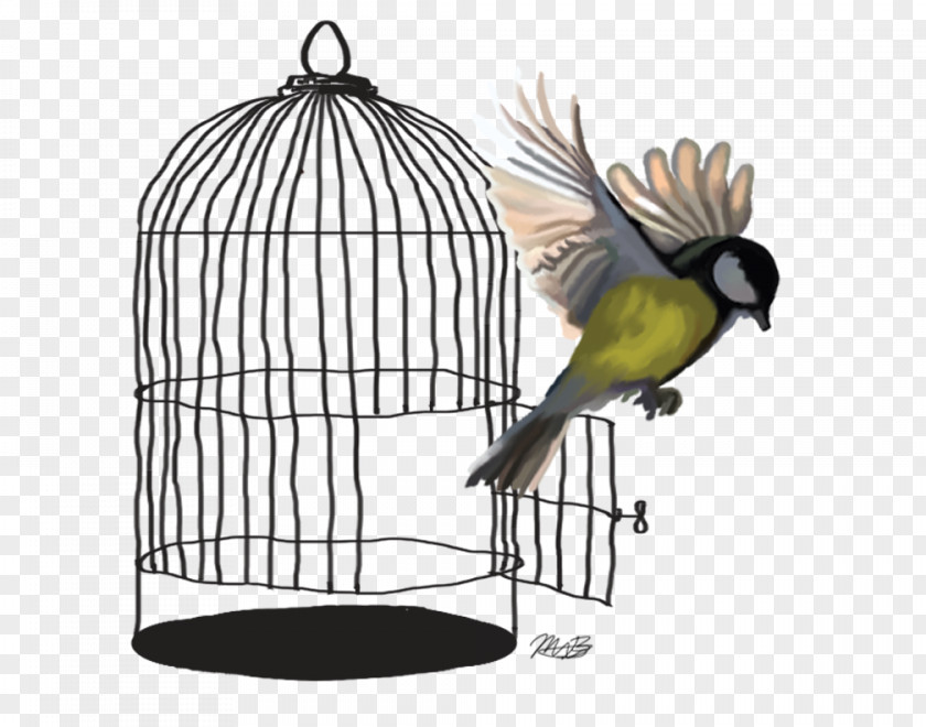 Birdcage Lovebird Budgerigar Parrot Cage PNG