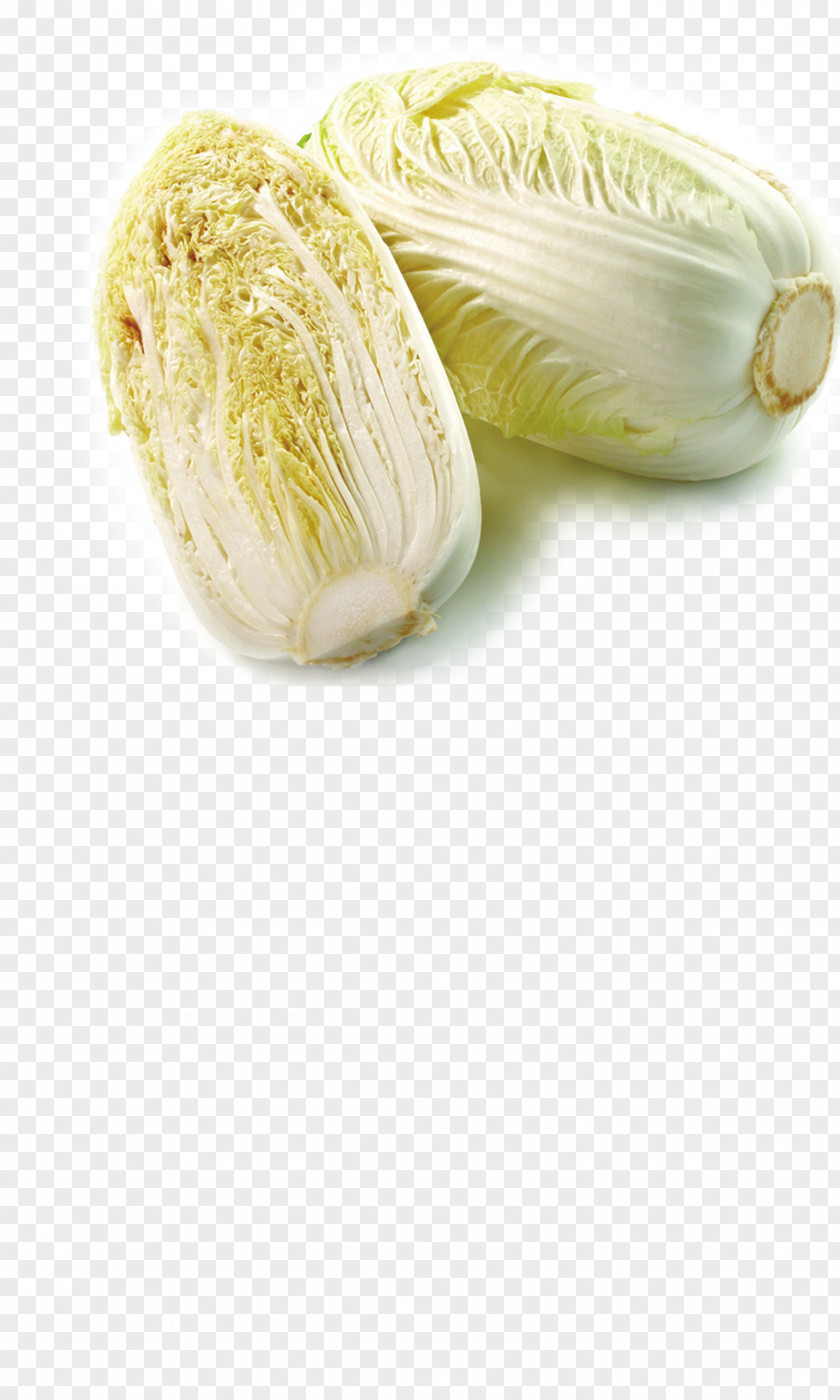 Cabbage Napa Vegetable Carrot Food Umami PNG