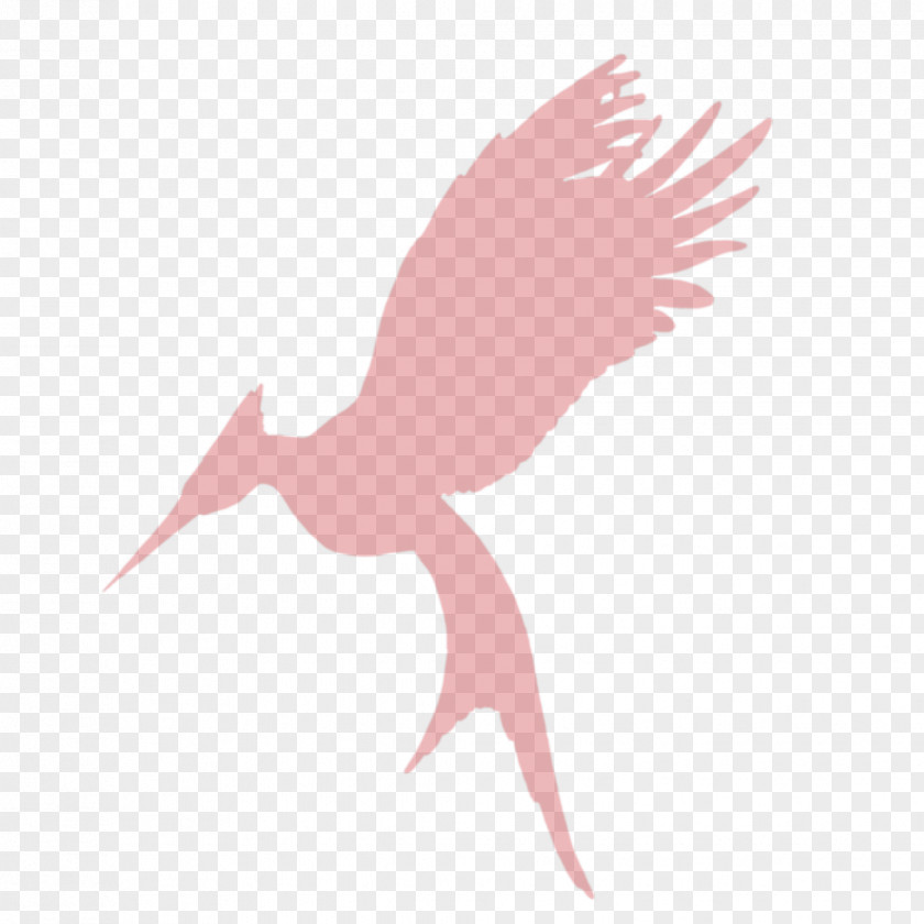 Catching Fire Mockingjay Art Stork Bird PNG