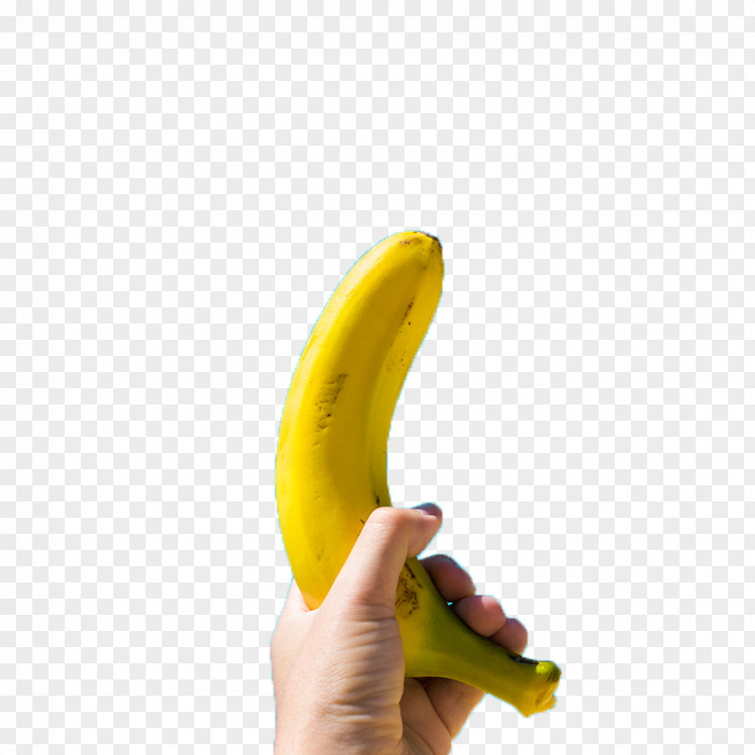 Holding A Banana Peel Auglis Computer File PNG