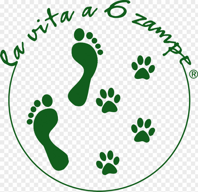 Lion Pug Cougar Animal Track Paw PNG