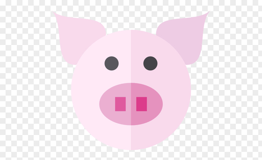 Pig Snout Whiskers Clip Art PNG