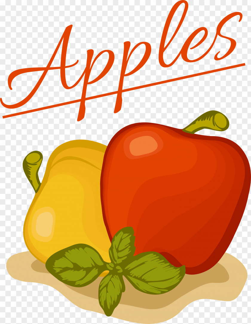 Red Simple Fruit Apples Habanero Bell Pepper Paprika Illustration PNG