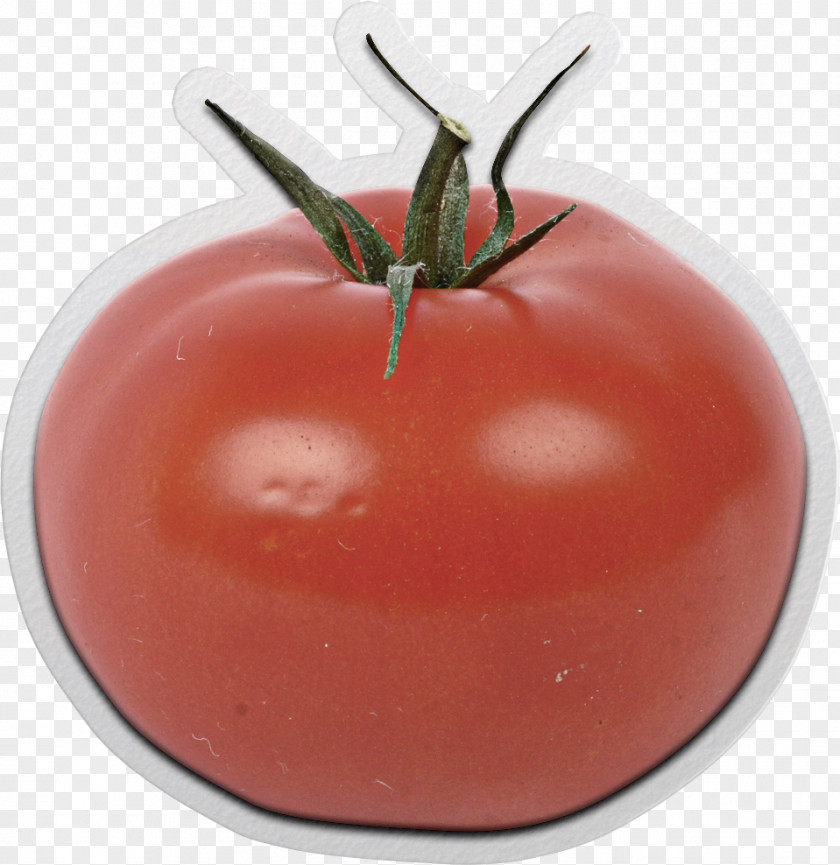 Tomato Painted Paper Card Sauce Food Google Images PNG