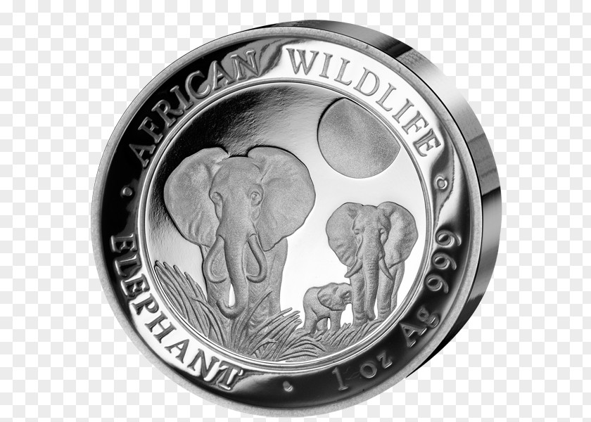 Variation Elephant Silver Coin Somalia Proof Coinage PNG