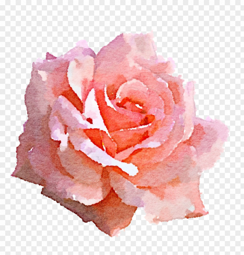 Watercolor Rose Light Pink Clip Art PNG