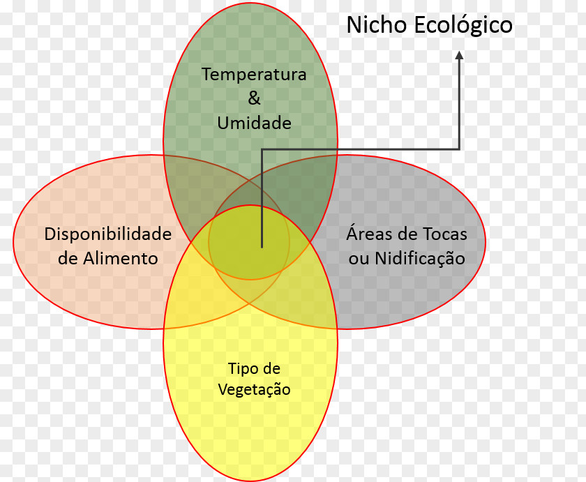 Alimentação Ecological Niche Ecology Habitat Organism PNG