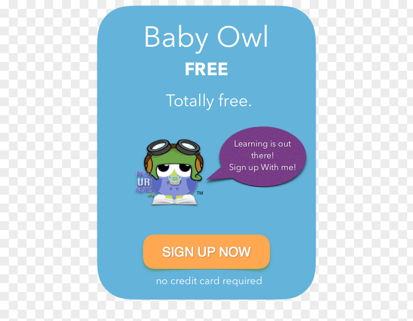Baby Owl Logo Brand United States Dollar Font PNG