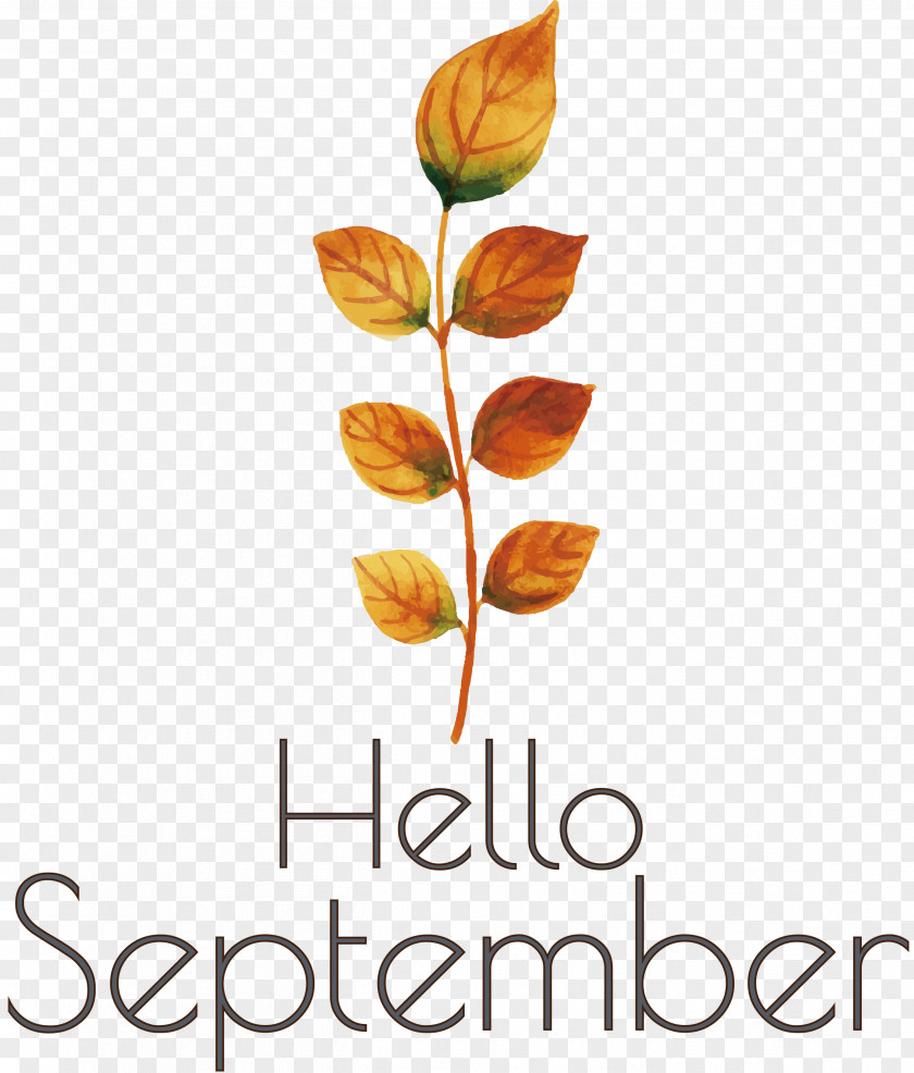 Hello September September PNG