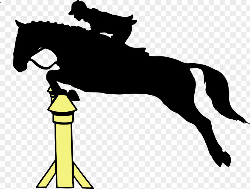 Horses Horse Show Sticker Equestrian Jumping PNG