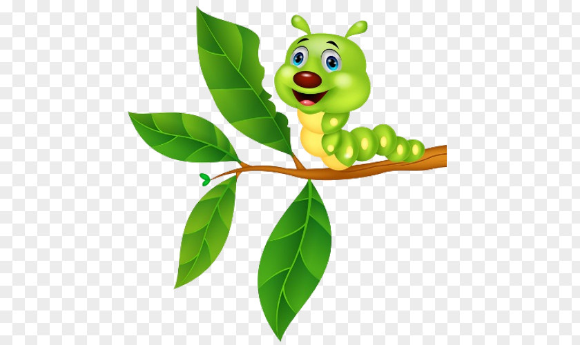 Butterfly Caterpillar Clip Art PNG