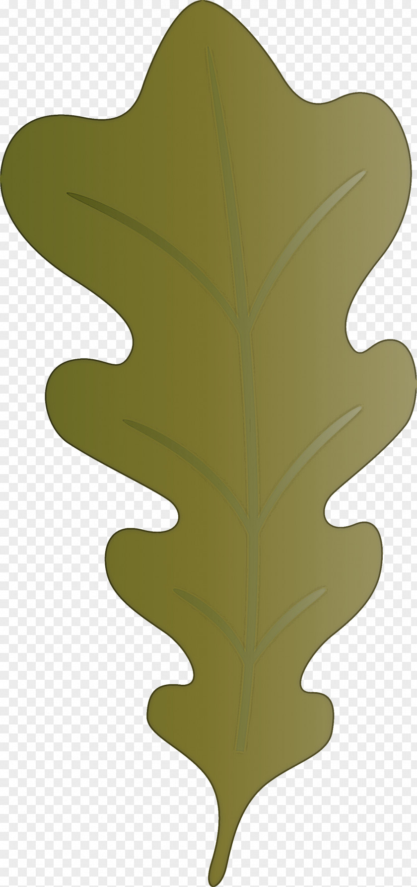 Oak Leaf PNG