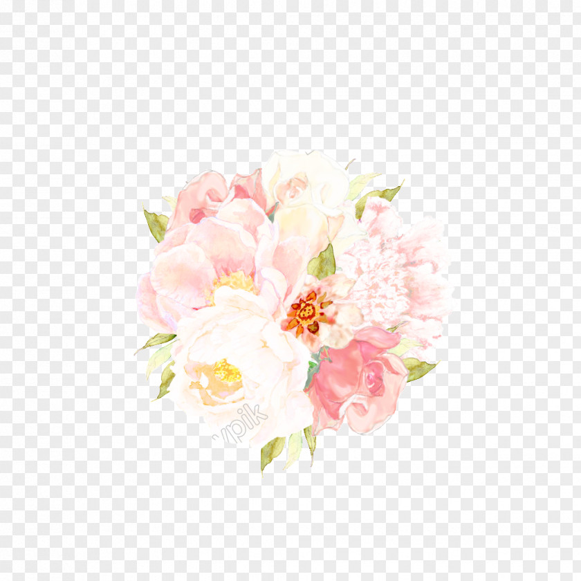Painted Flowers Pink Flower Garden Roses Cabbage Rose Cut Floral Design PNG