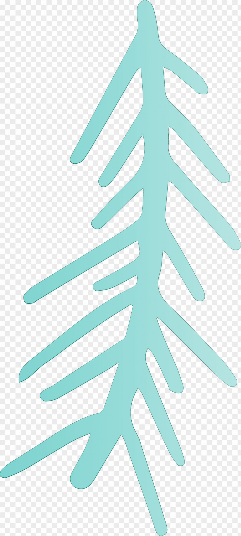 Palm Trees PNG