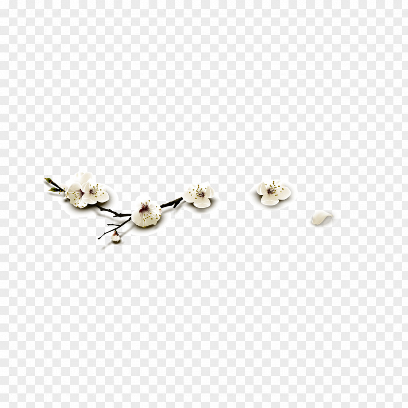 Plum Flower Gratis PNG