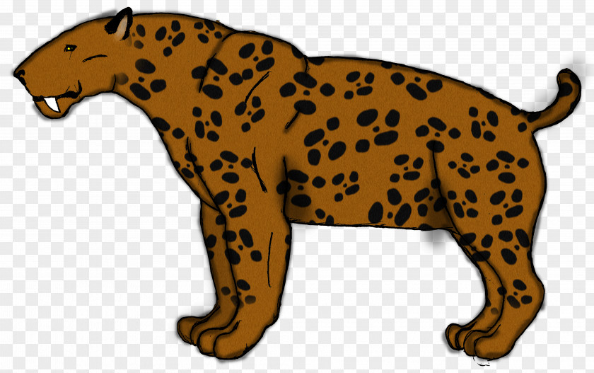 Sabertoothed Tiger Leopard Cheetah Jaguar Felidae Xenosmilus PNG